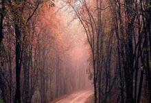 布伦瑞克备战积极出击，豪取胜利