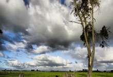 顶级篮球职业联赛战火重燃，各队实力悬殊