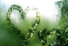 河南建业战绩不断下滑，球迷心情低落