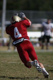 开云体育官网-五大联赛最具统治力的球队如何打造，五大联赛良心球队  第1张